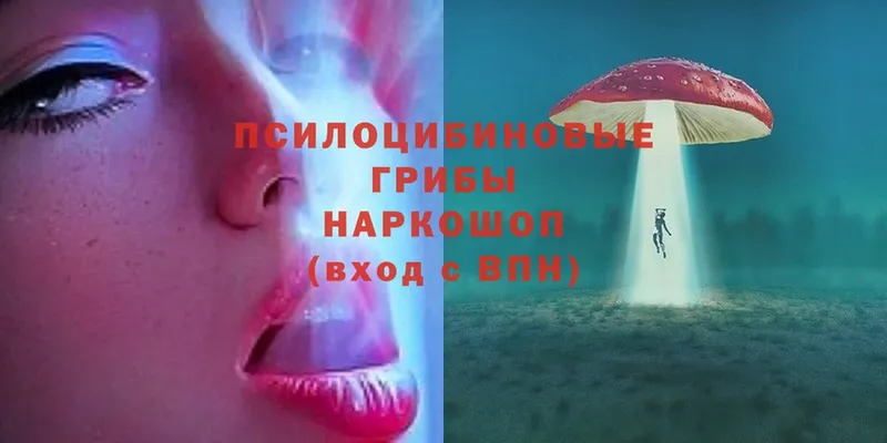 Галлюциногенные грибы Magic Shrooms  Ржев 